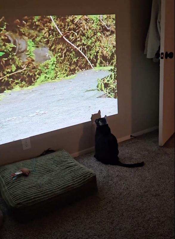 Review image send by user