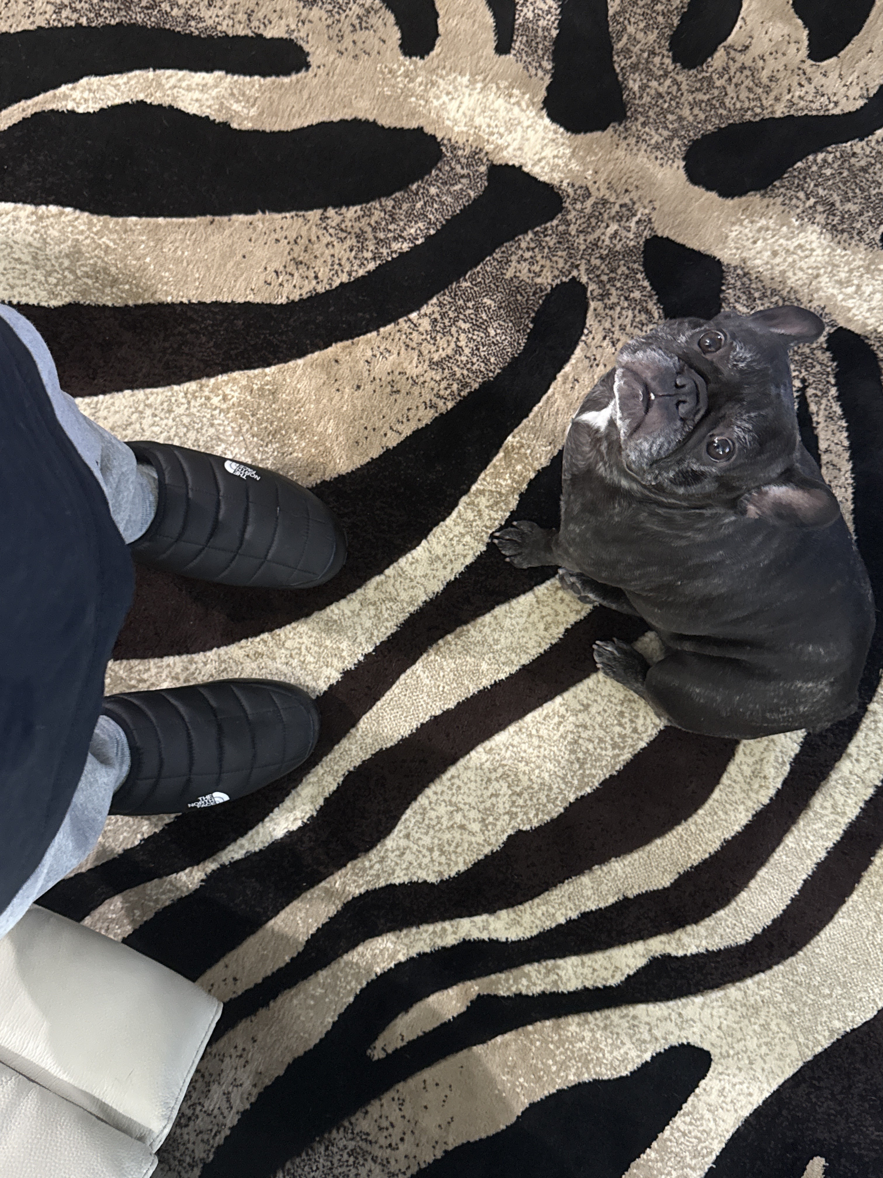 Great price. Well made.