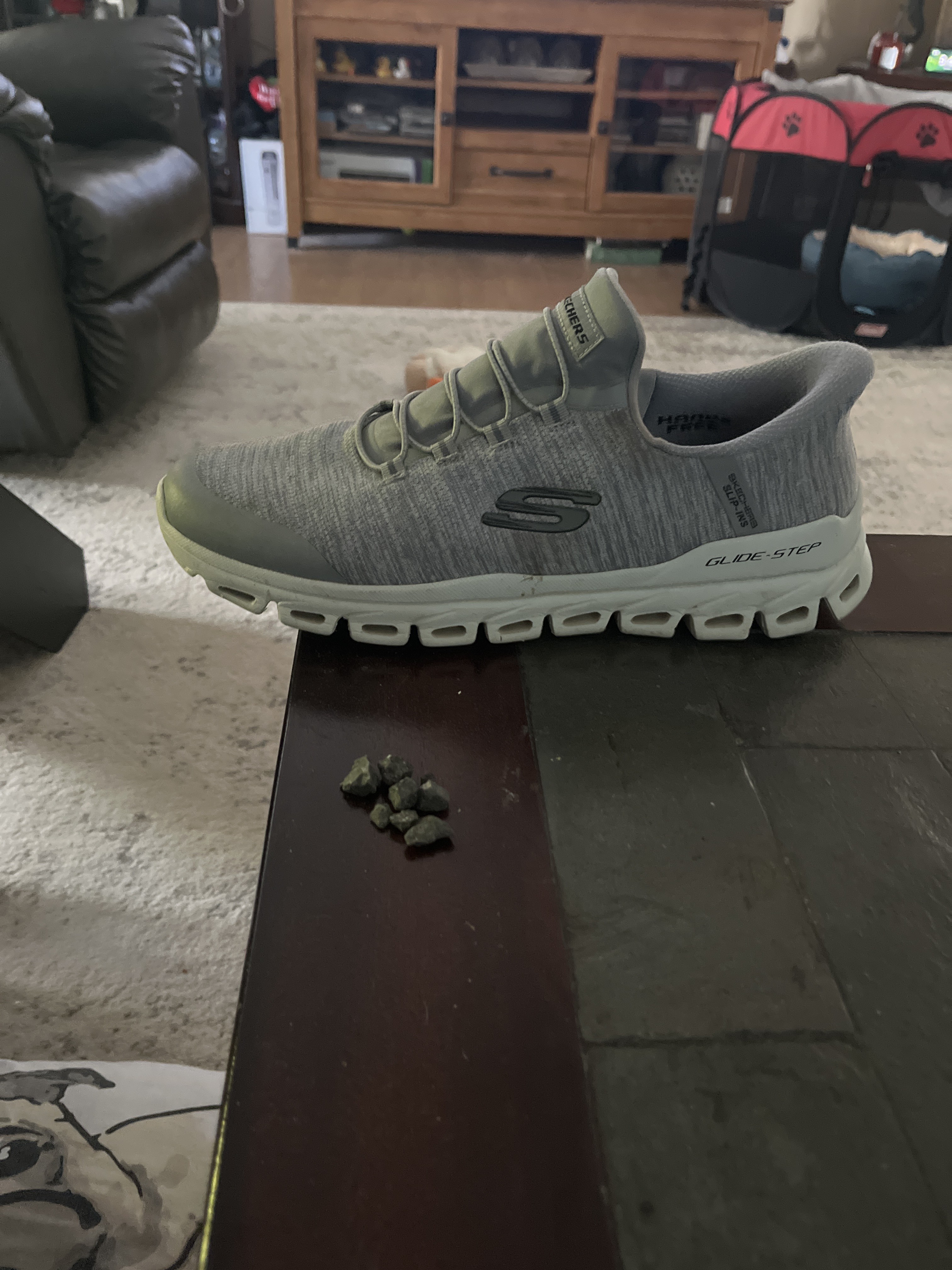 eats rocks wears shoes out fast