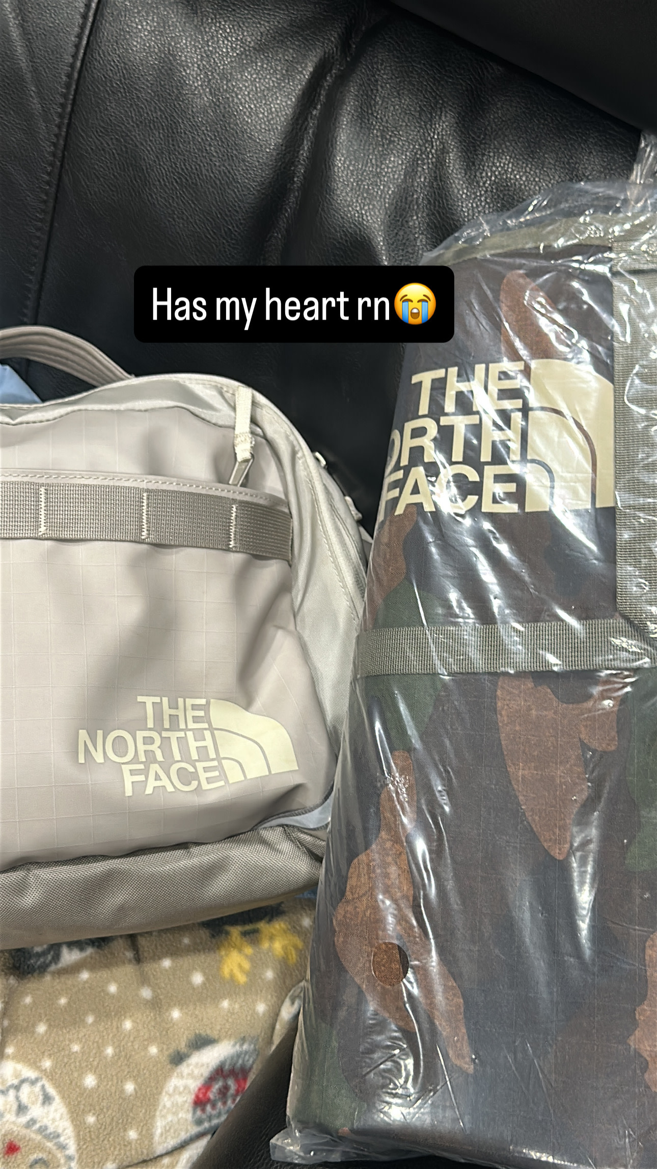 Left is the base camp voyager bag