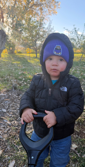 Baby Bear Hat in Purple