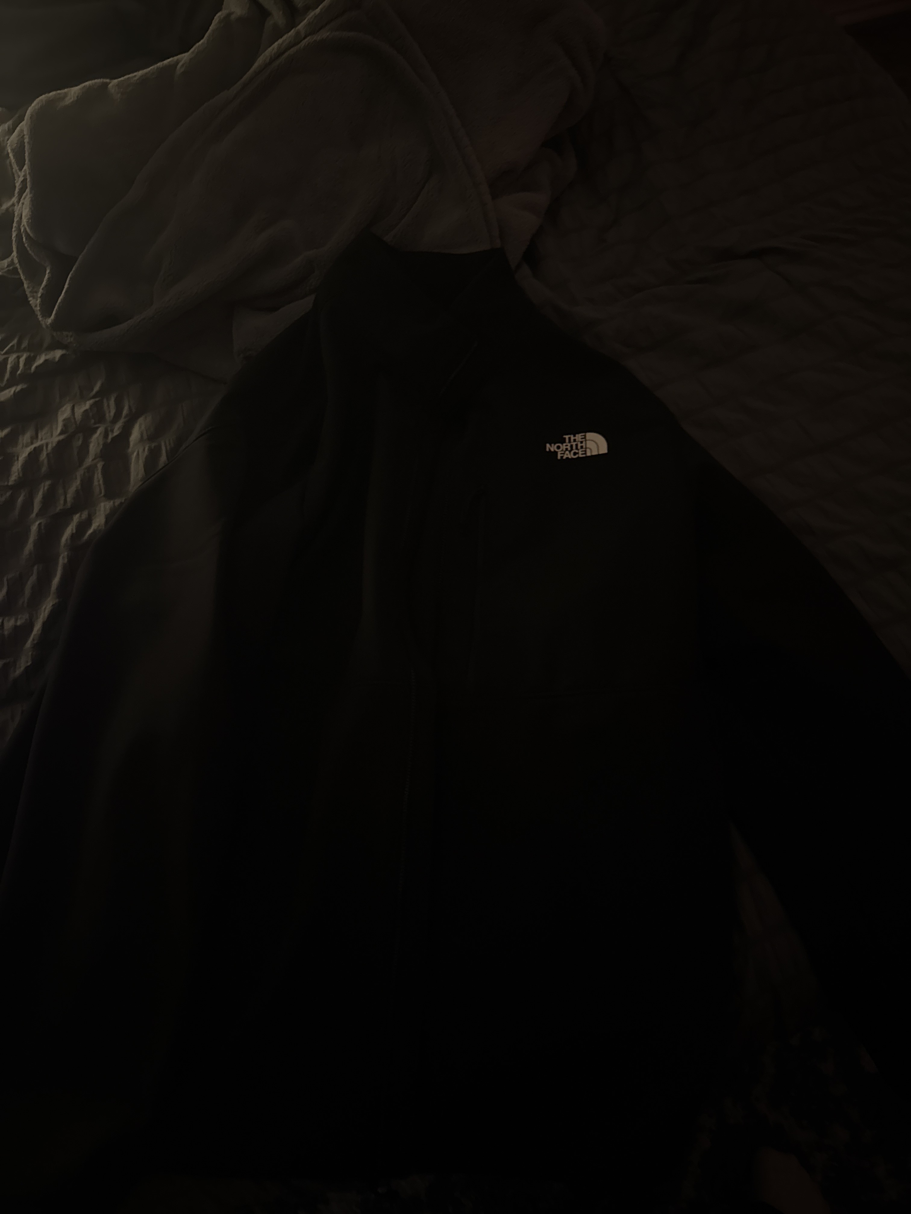 Men's Apex Bionic 3 Jacket