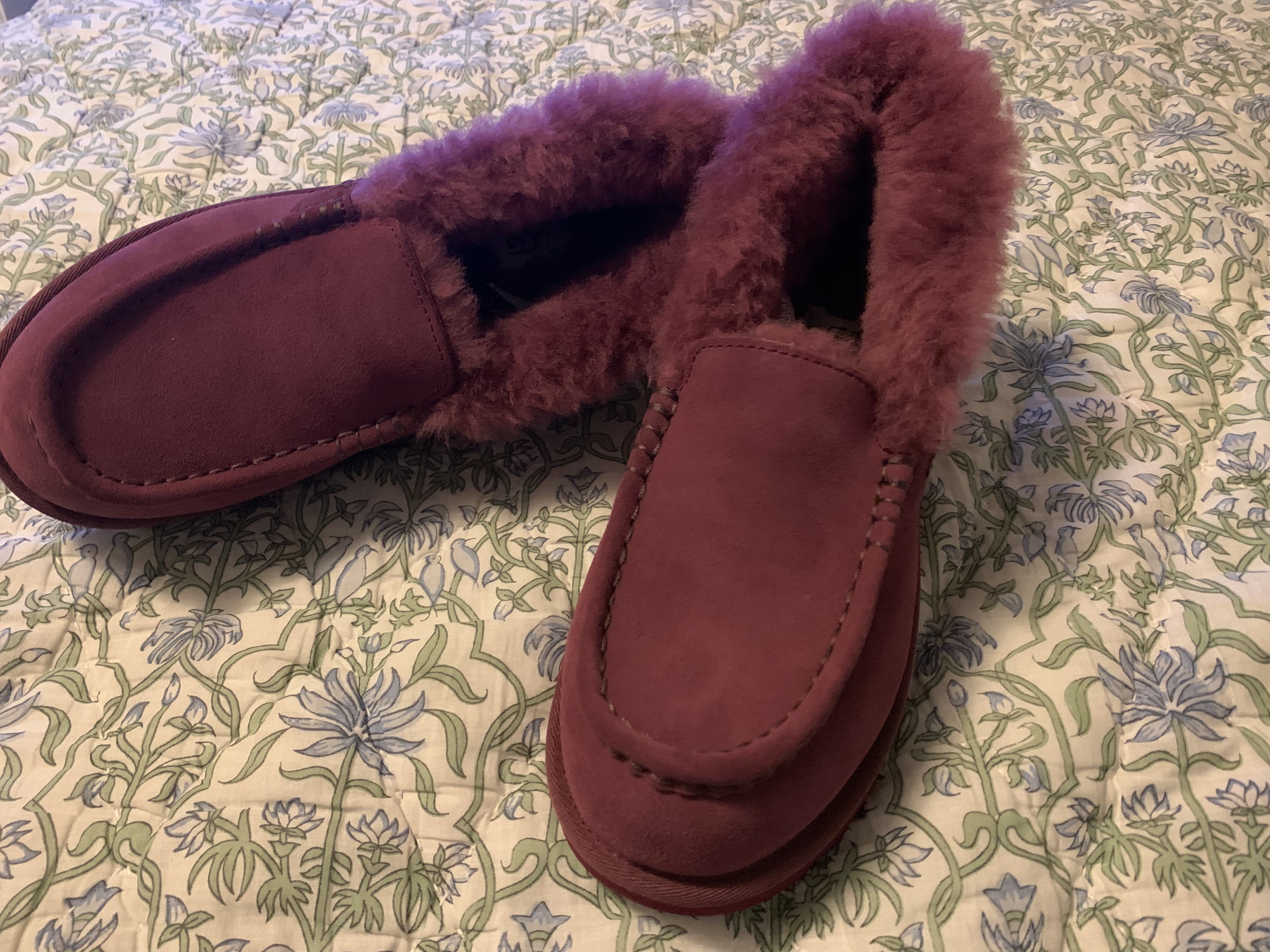 Ugg Plush Magenta