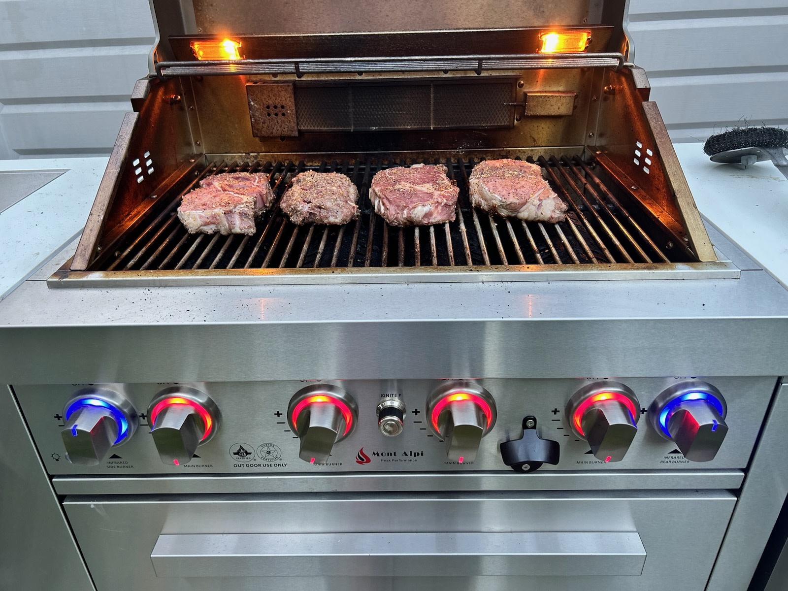 Perfect Family Grill