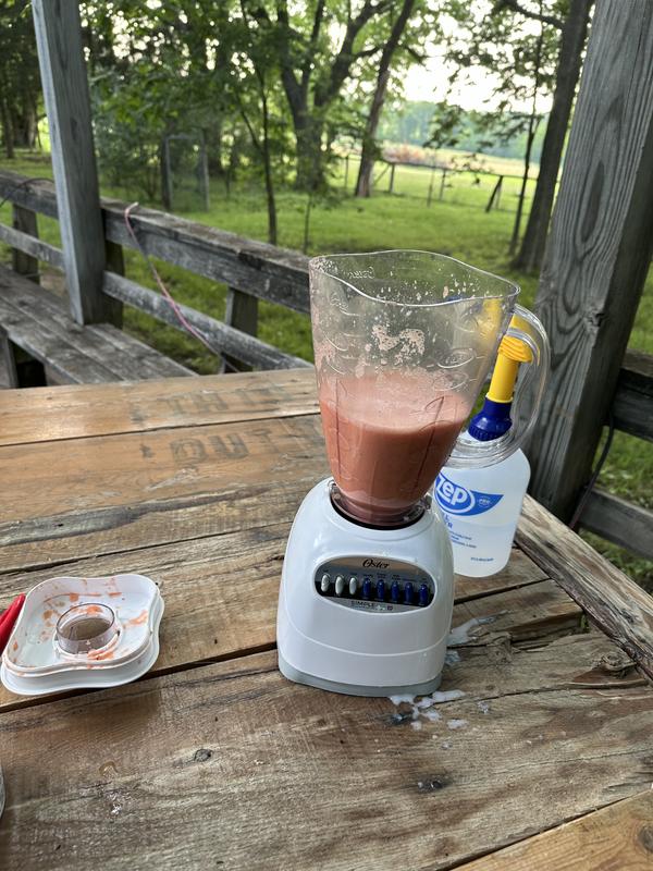 I have almost perfected smoked watermelon soup (and it is fun trying).