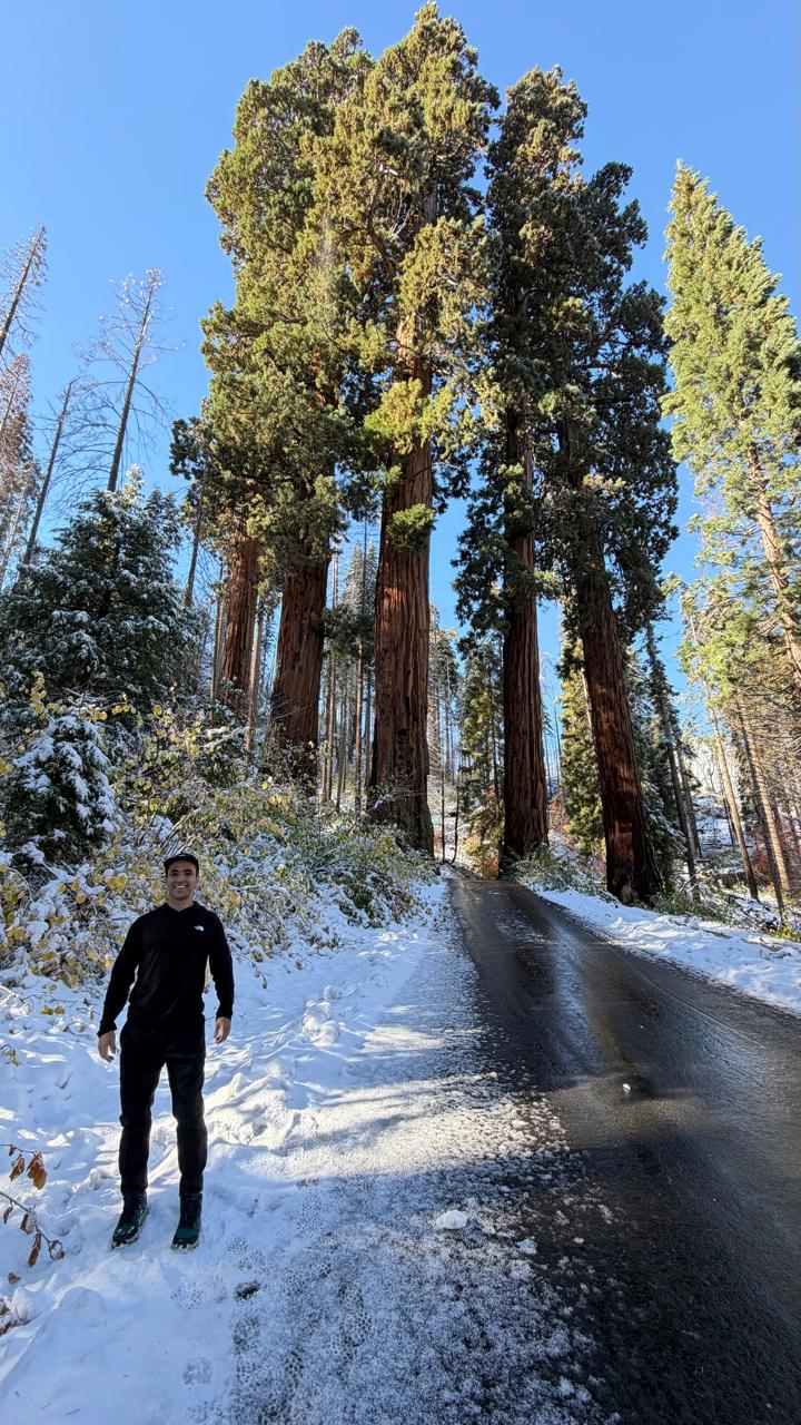 Sequoia National Park