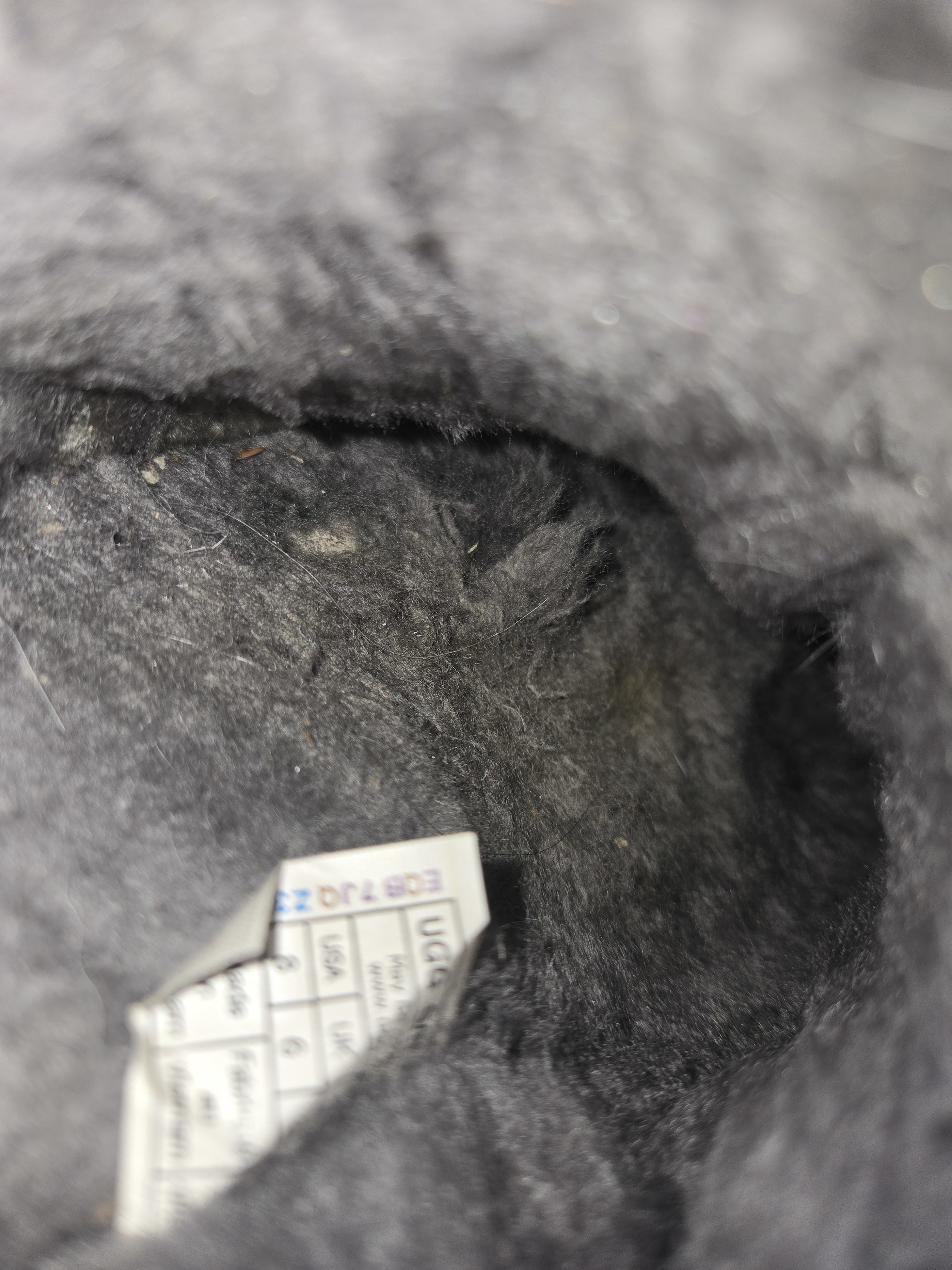 Fur is worn away already.