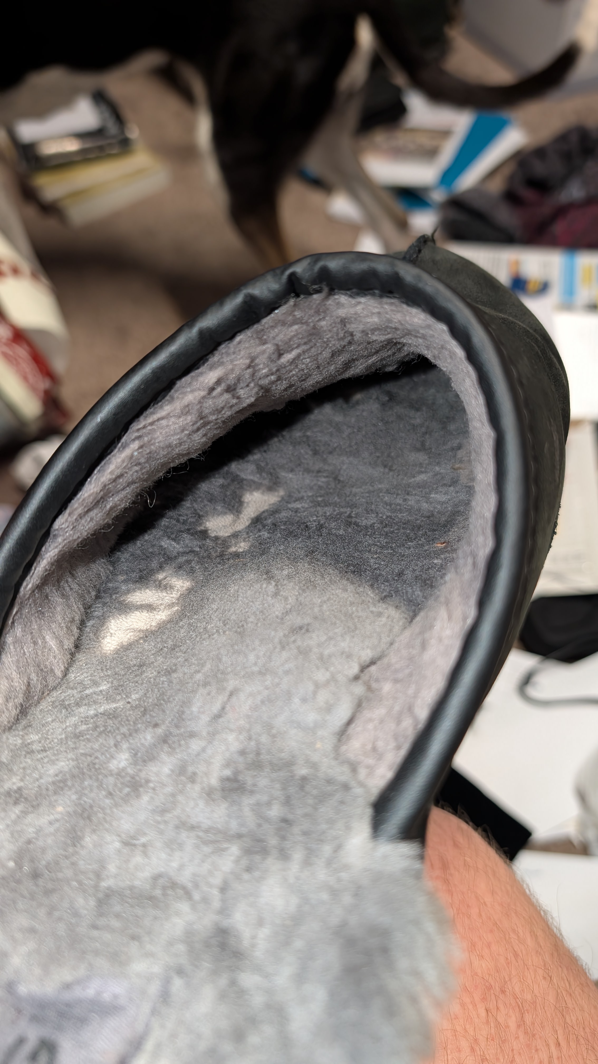 The problem. Left foot falling apart inside.