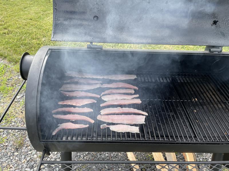 Smoking Spanish Mackerel