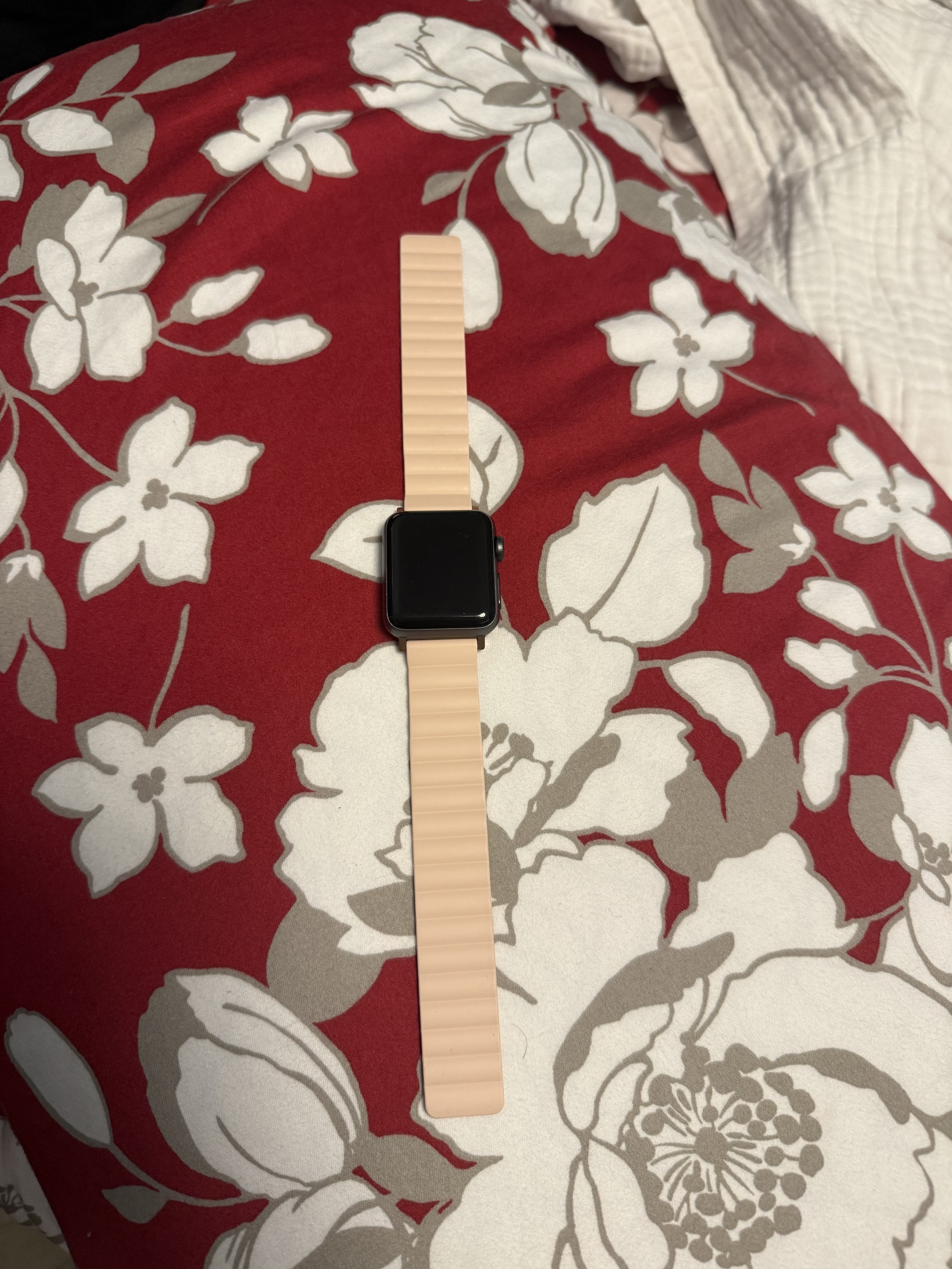 How the band and watch looks.