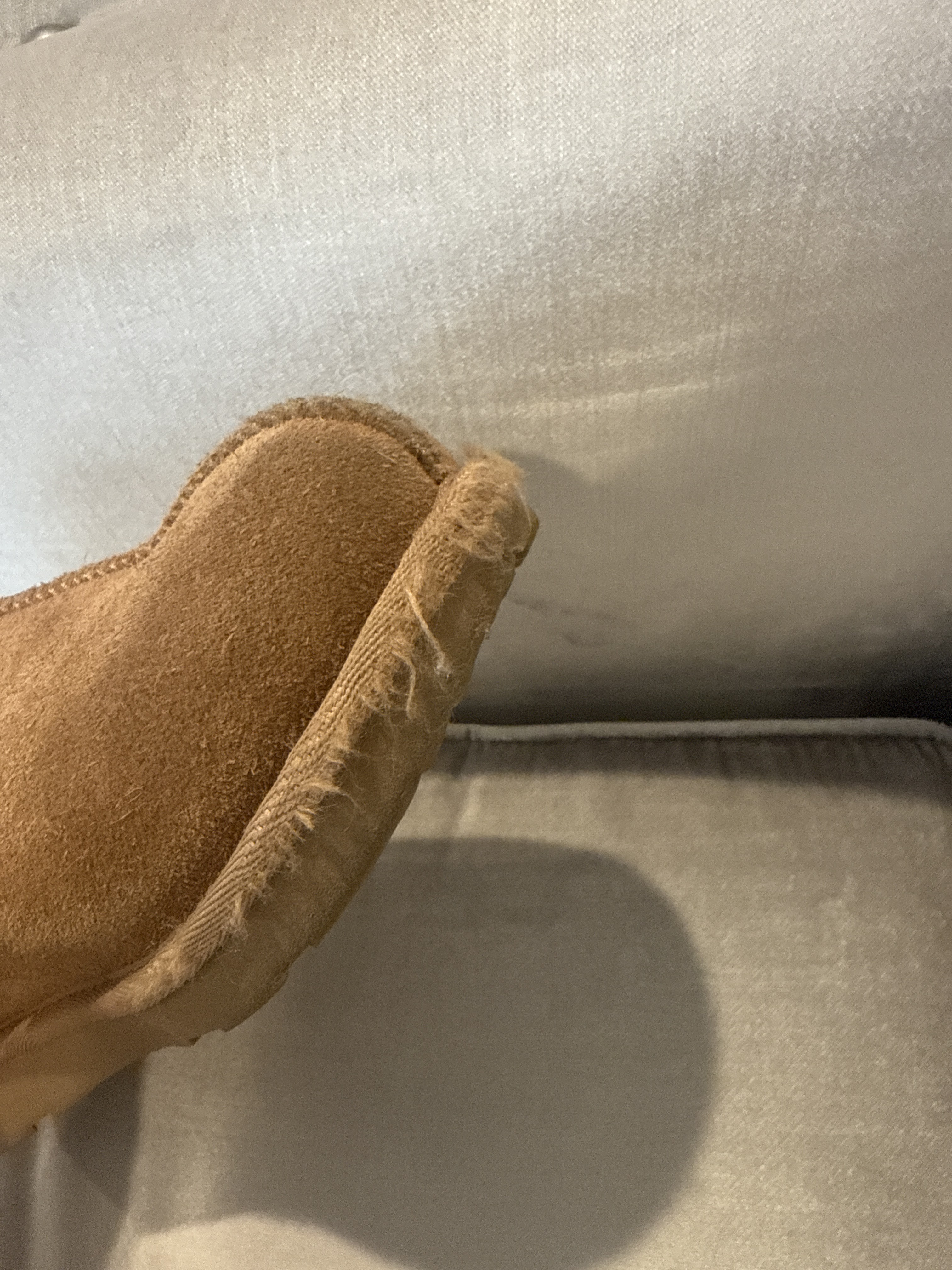 Tasman II front view