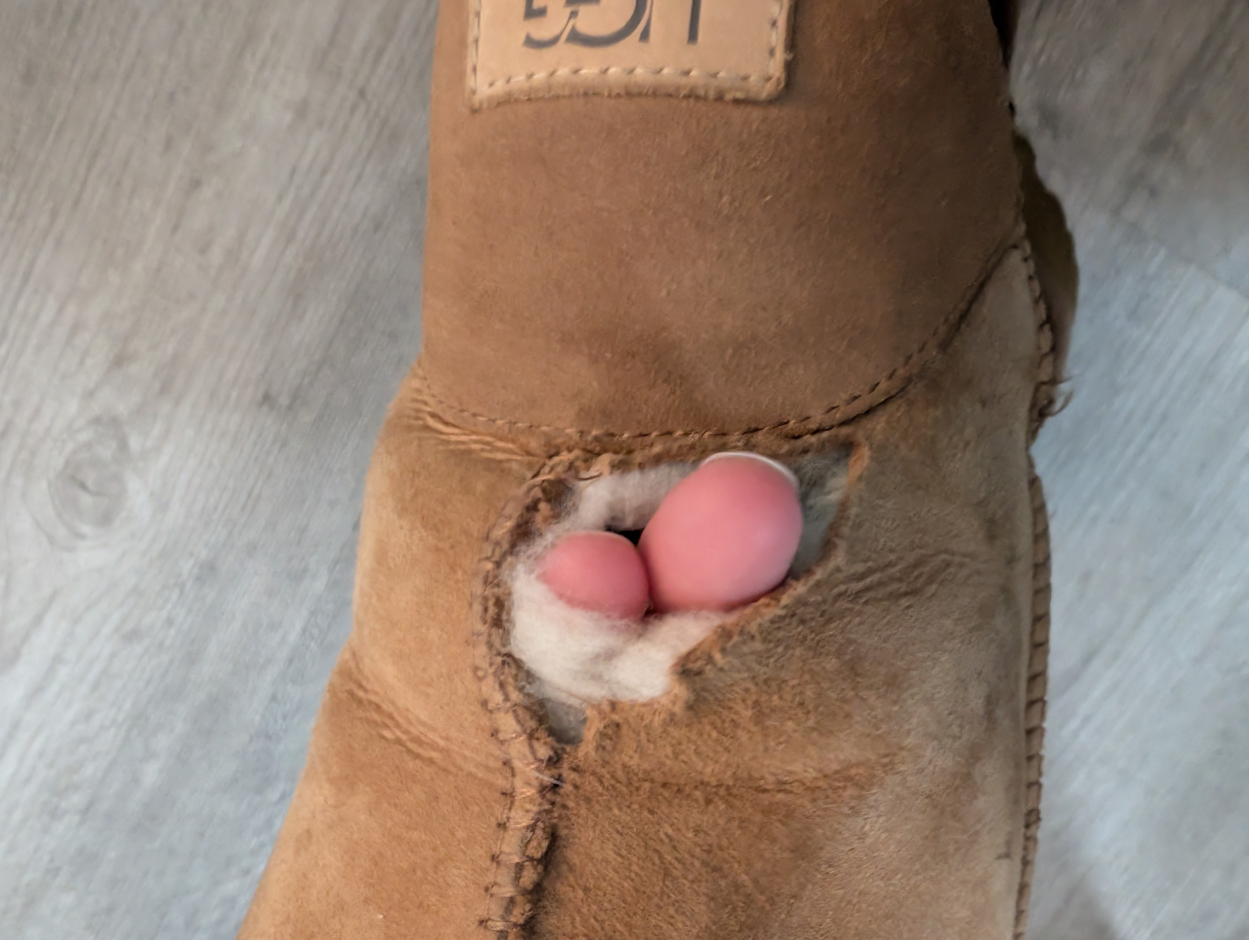 The rip showing the size/scale