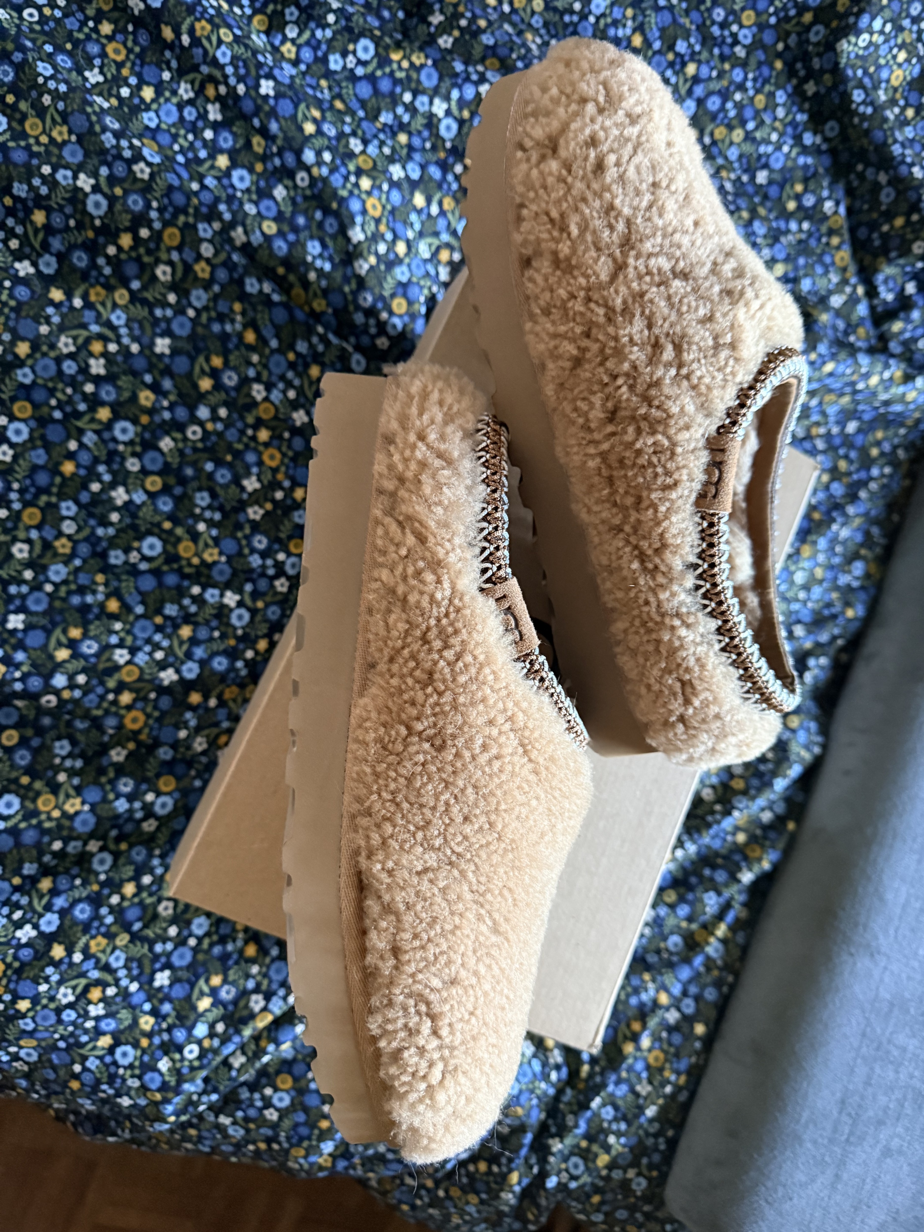 Curly Uggs