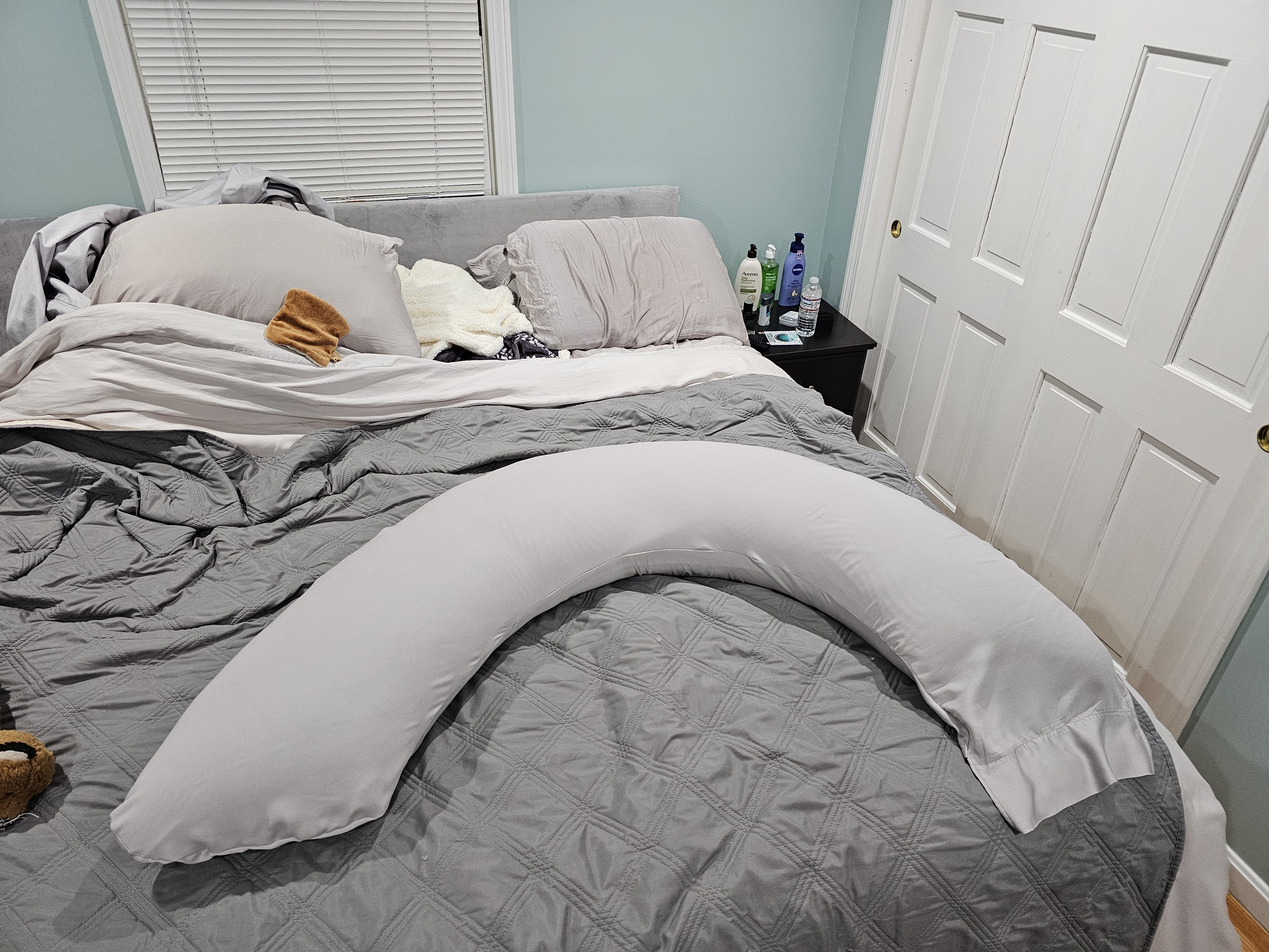 Body pillow with custom case 2