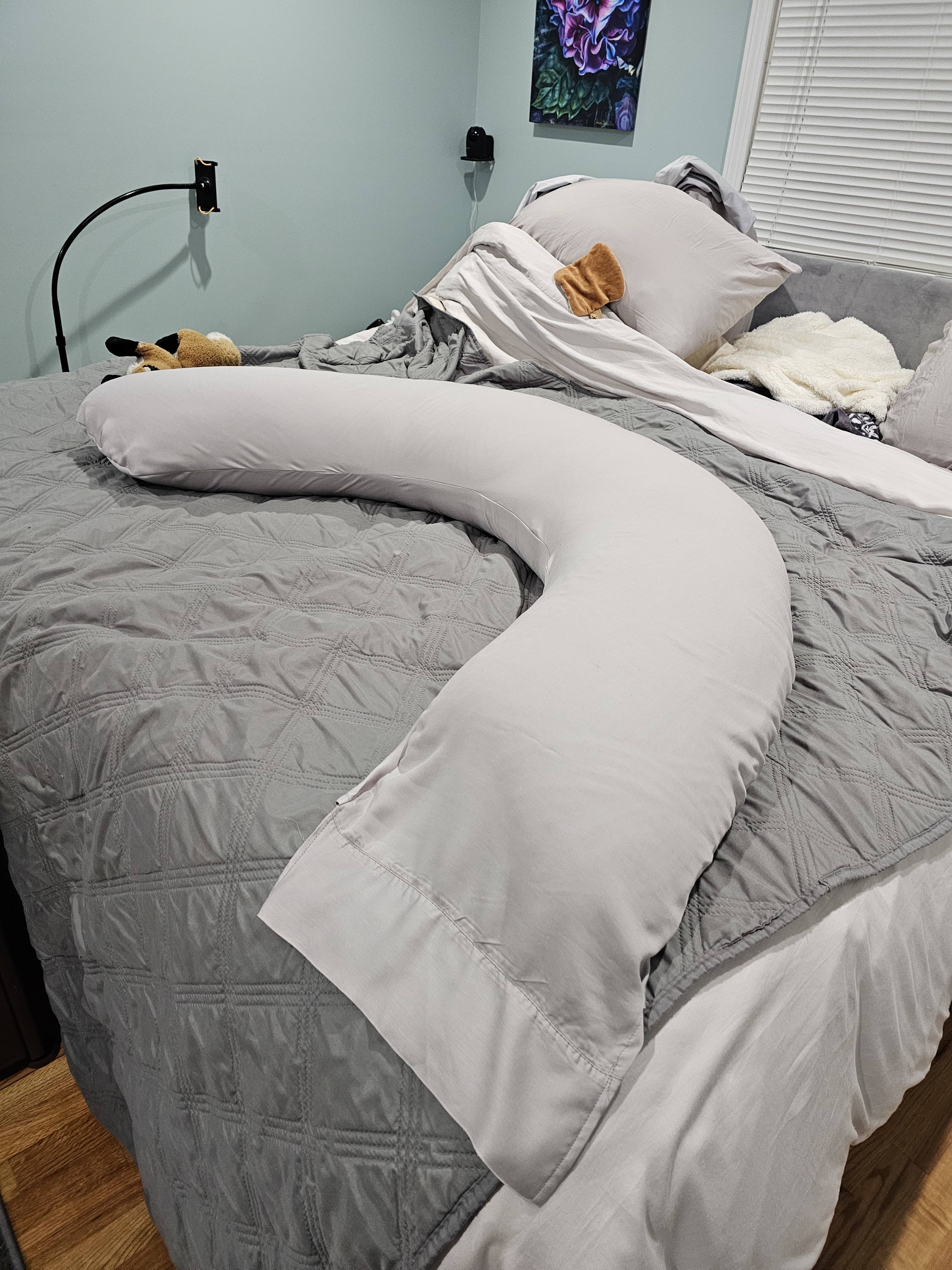 Body Pillow with custom case 1