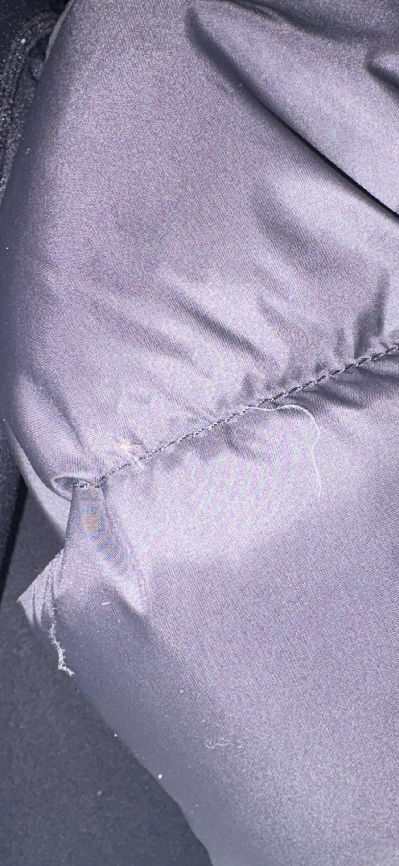 Feathers and strings coming out