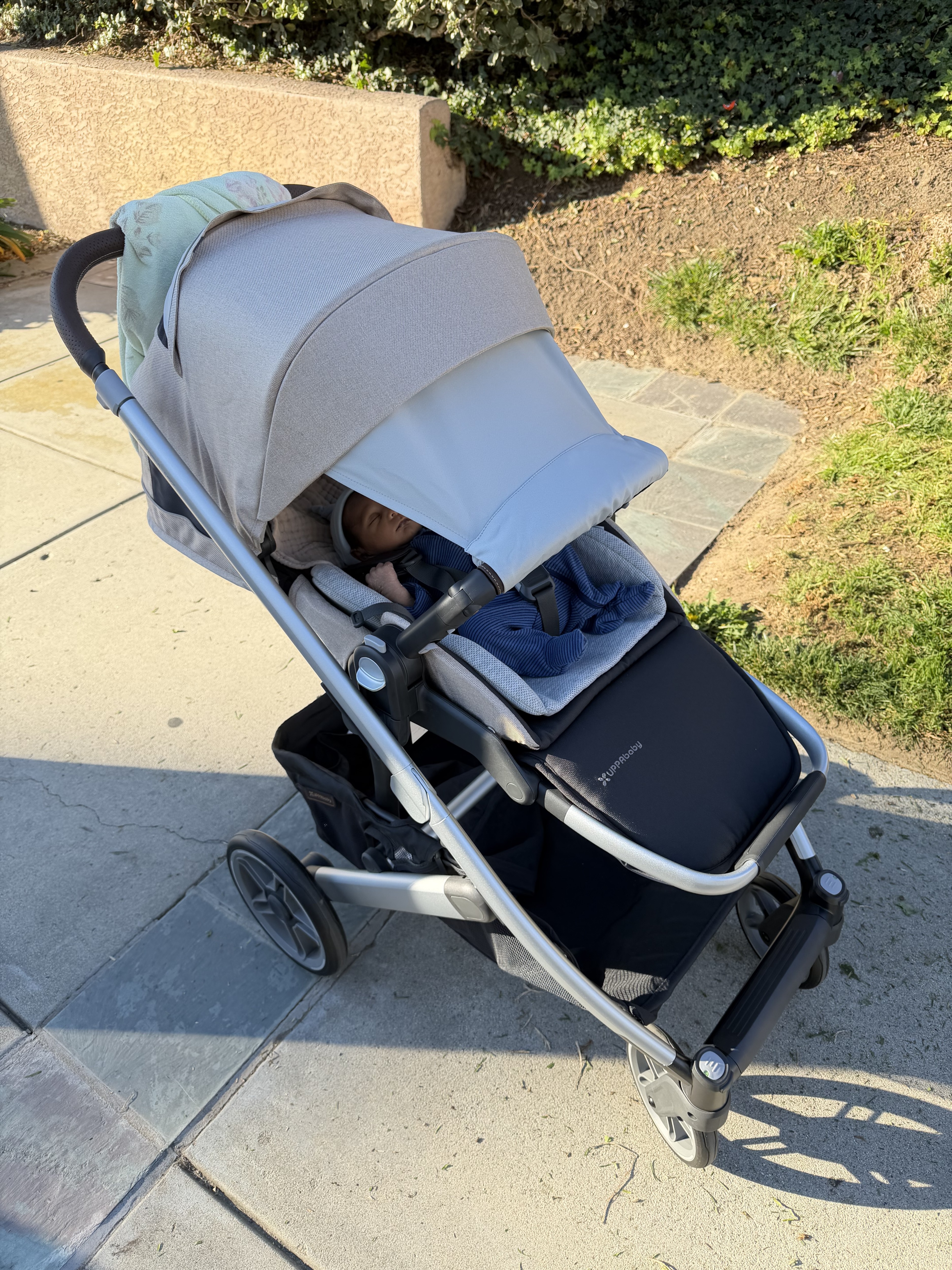 UPPAbaby Cruz V3 Stroller | Bloomingdale's Kids