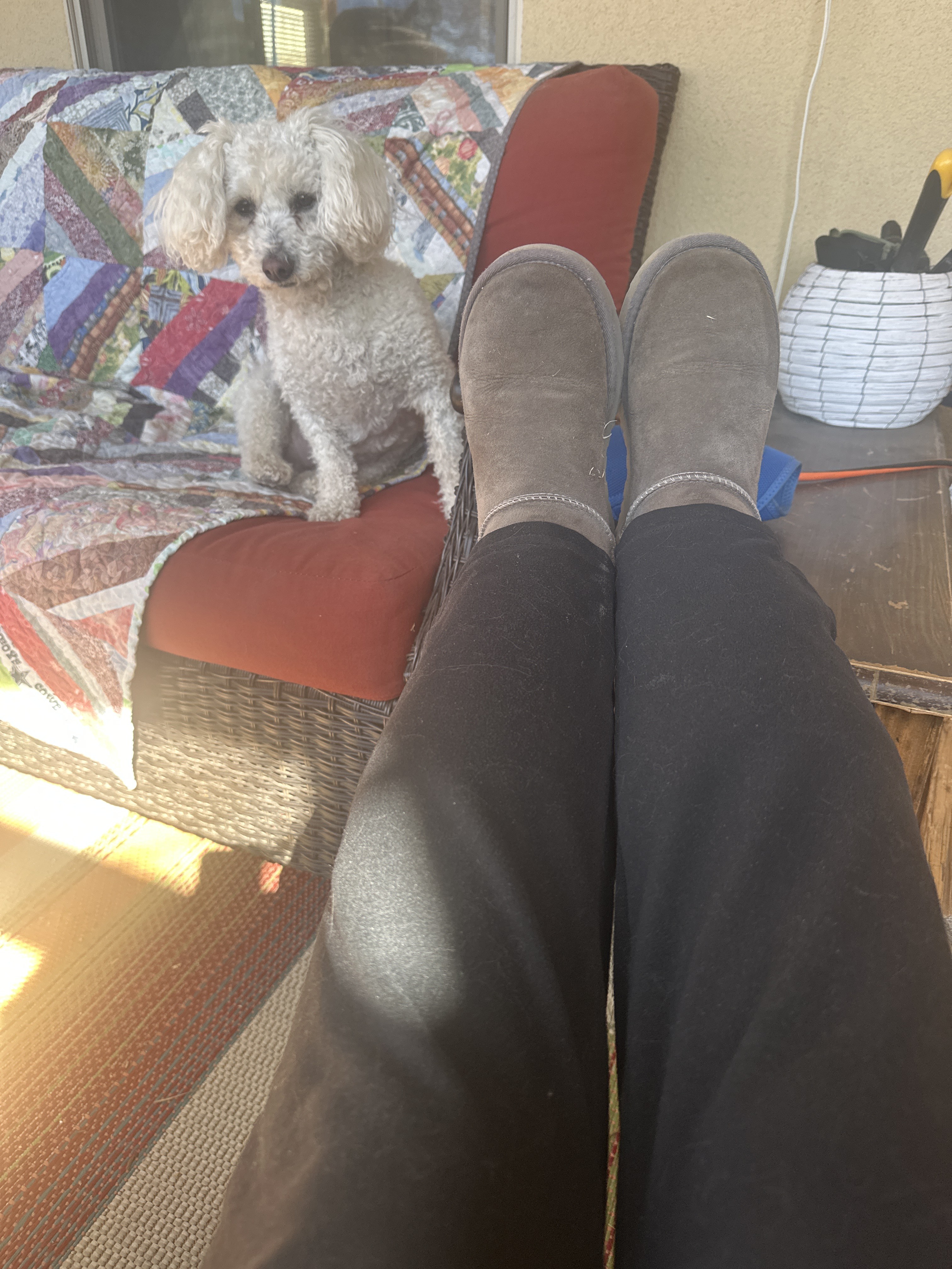 For walking with Bizzy