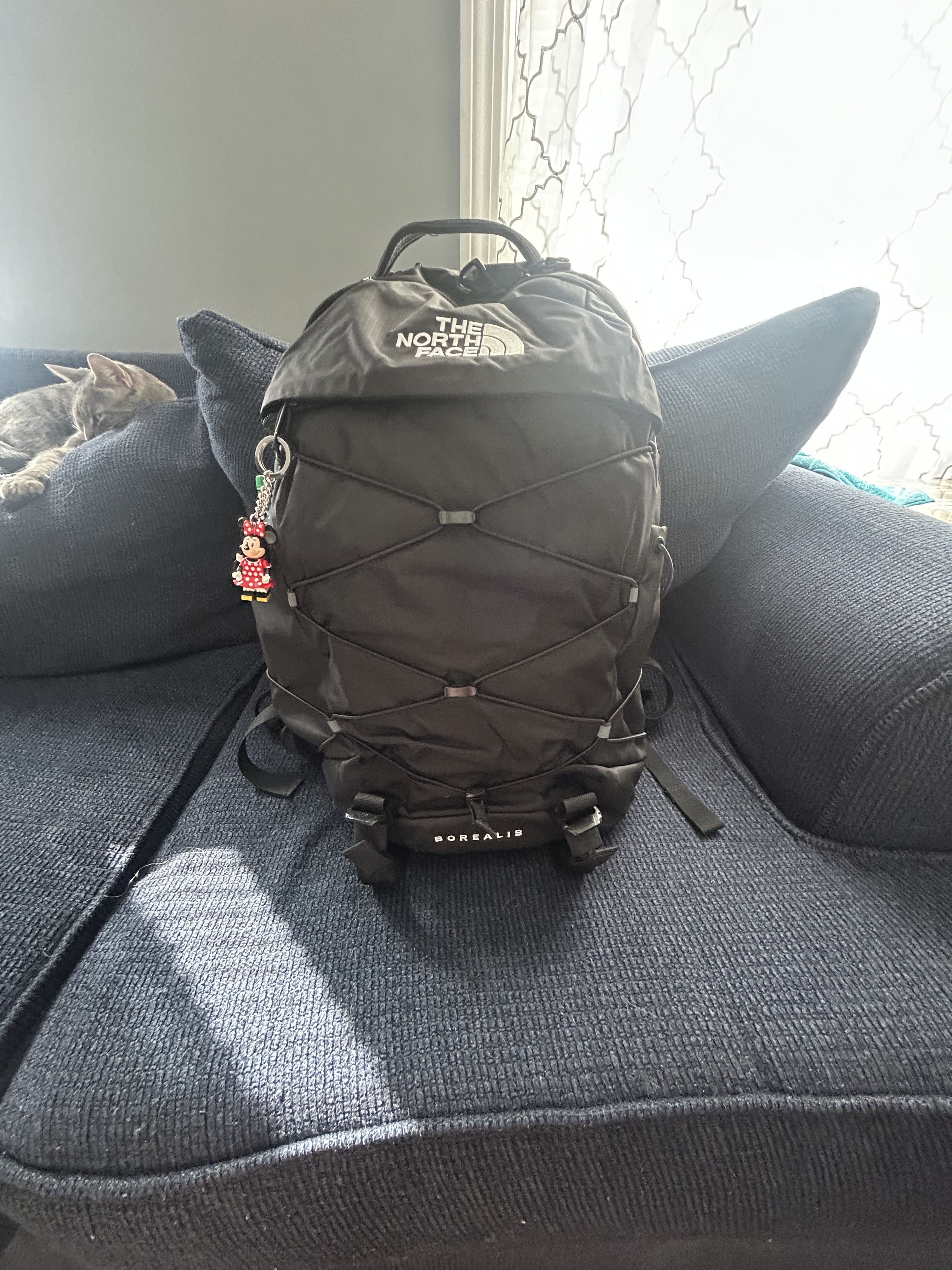 Front Veiw, so cute and you can see the bungee cord.