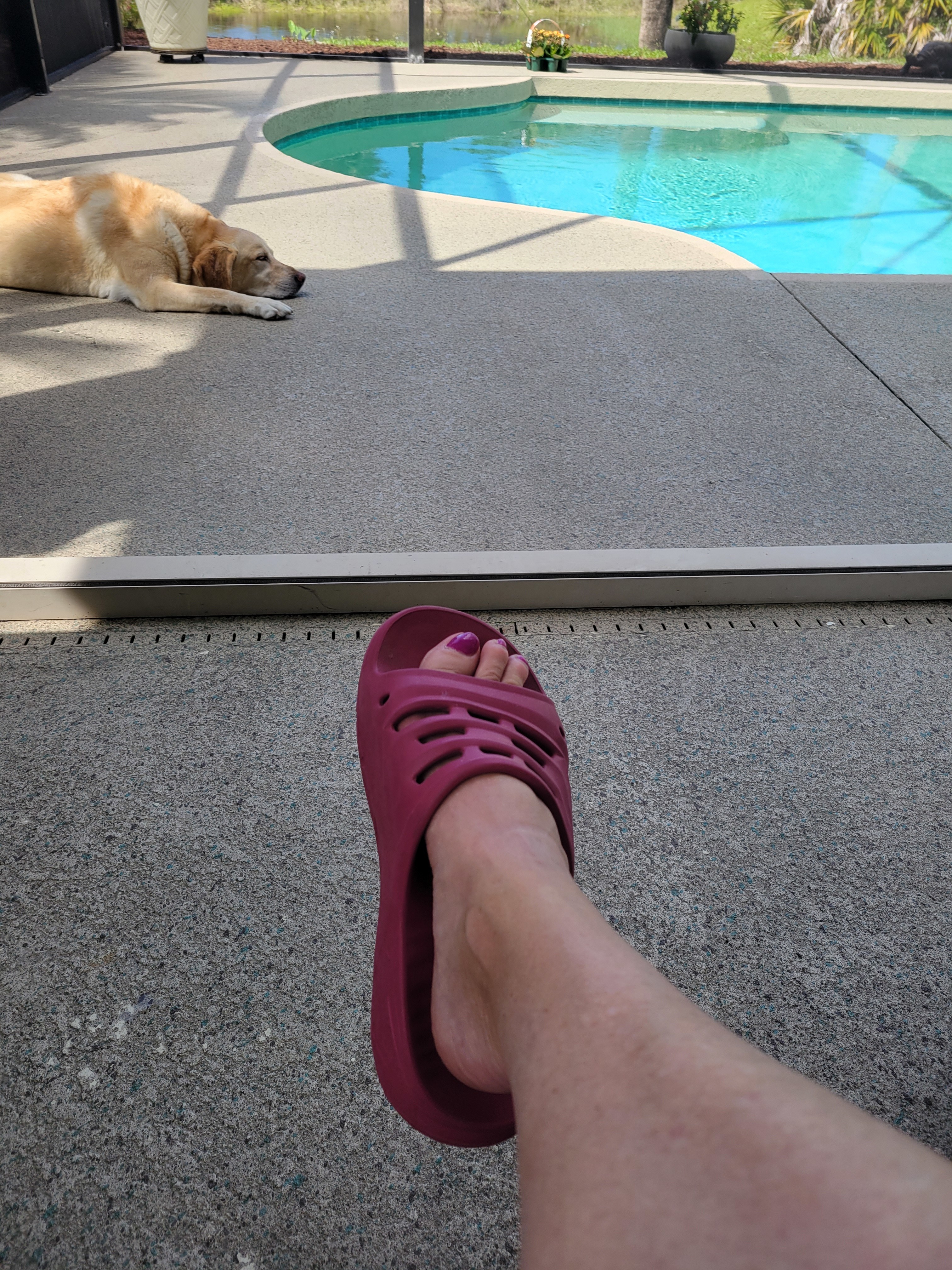 Lounging