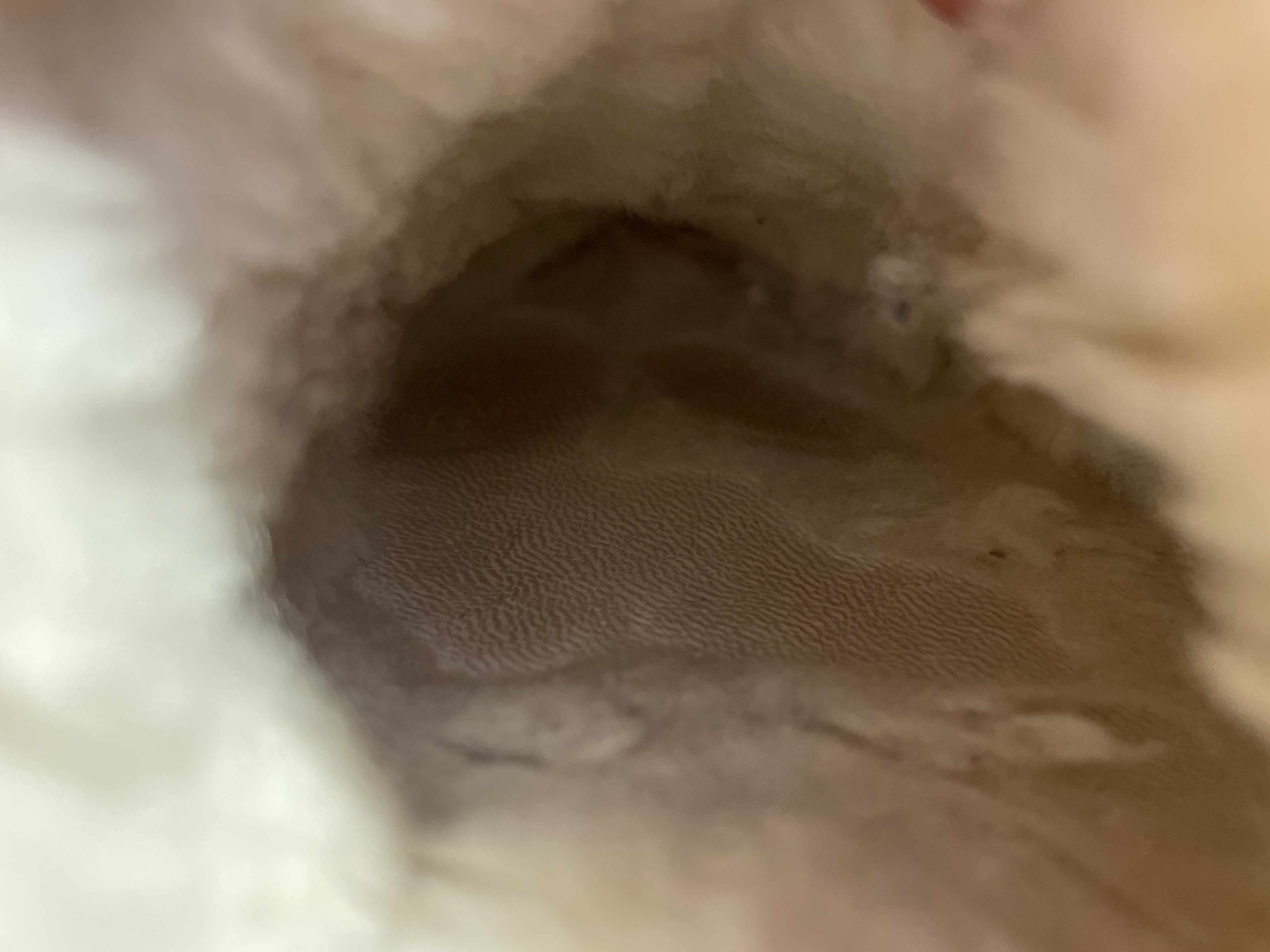 Barely any fur left inside