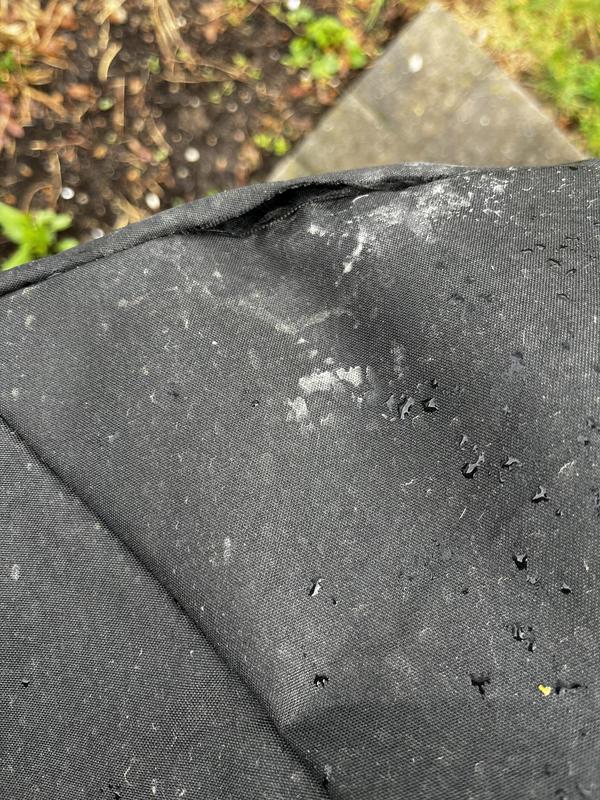 Torn at the Seams after 3 Weeks