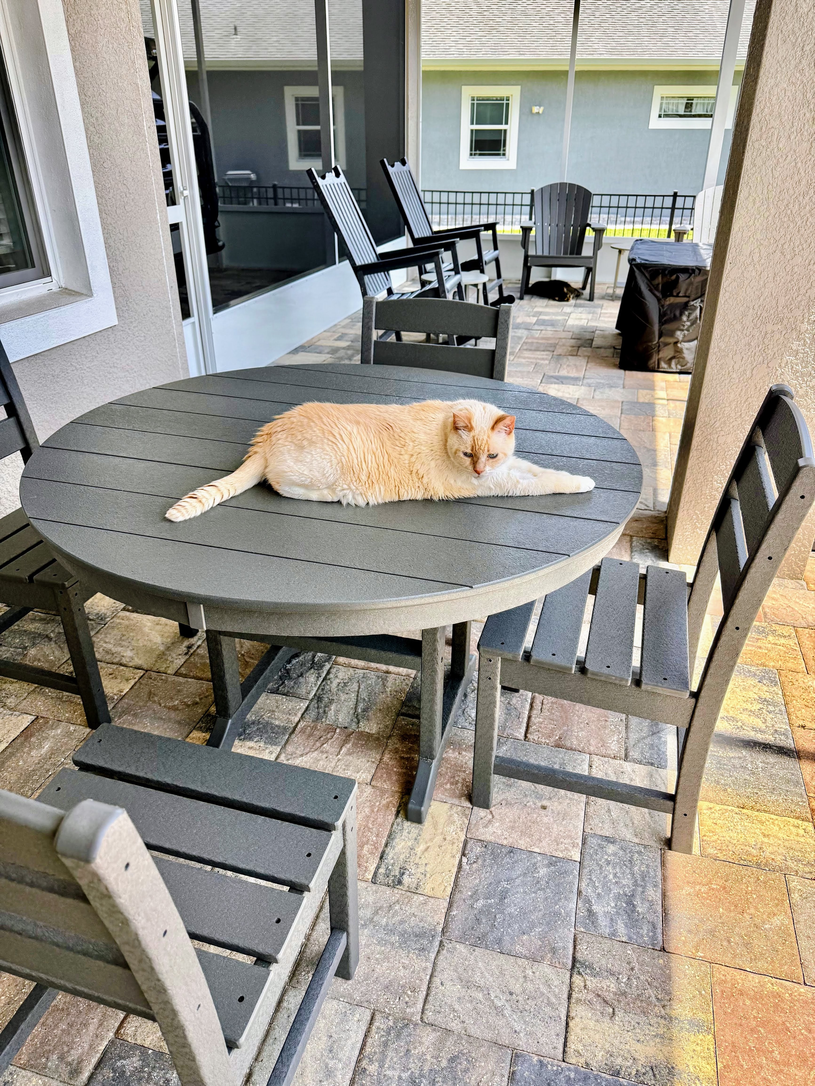 Ready for dinner!