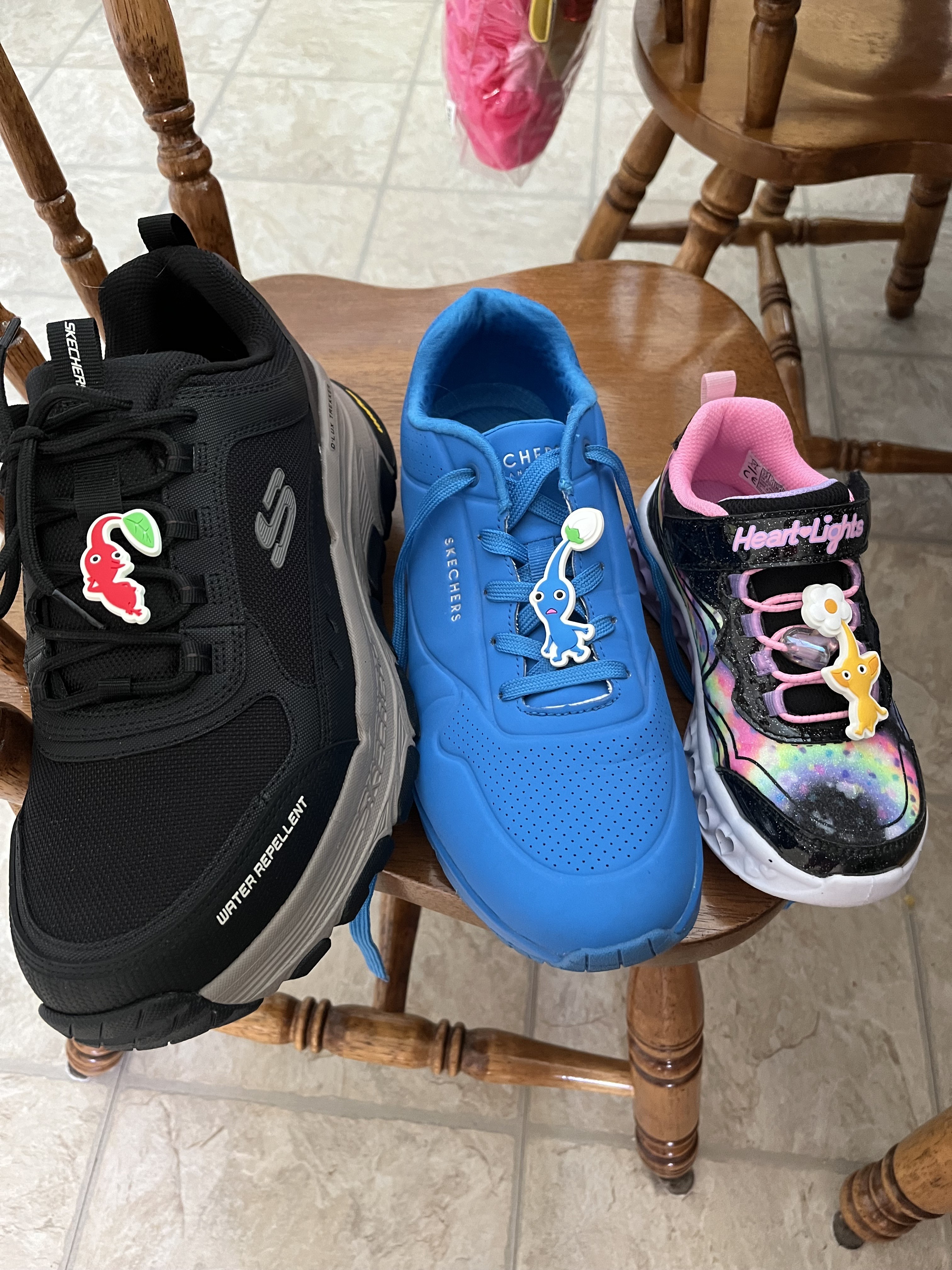 Sketchers family