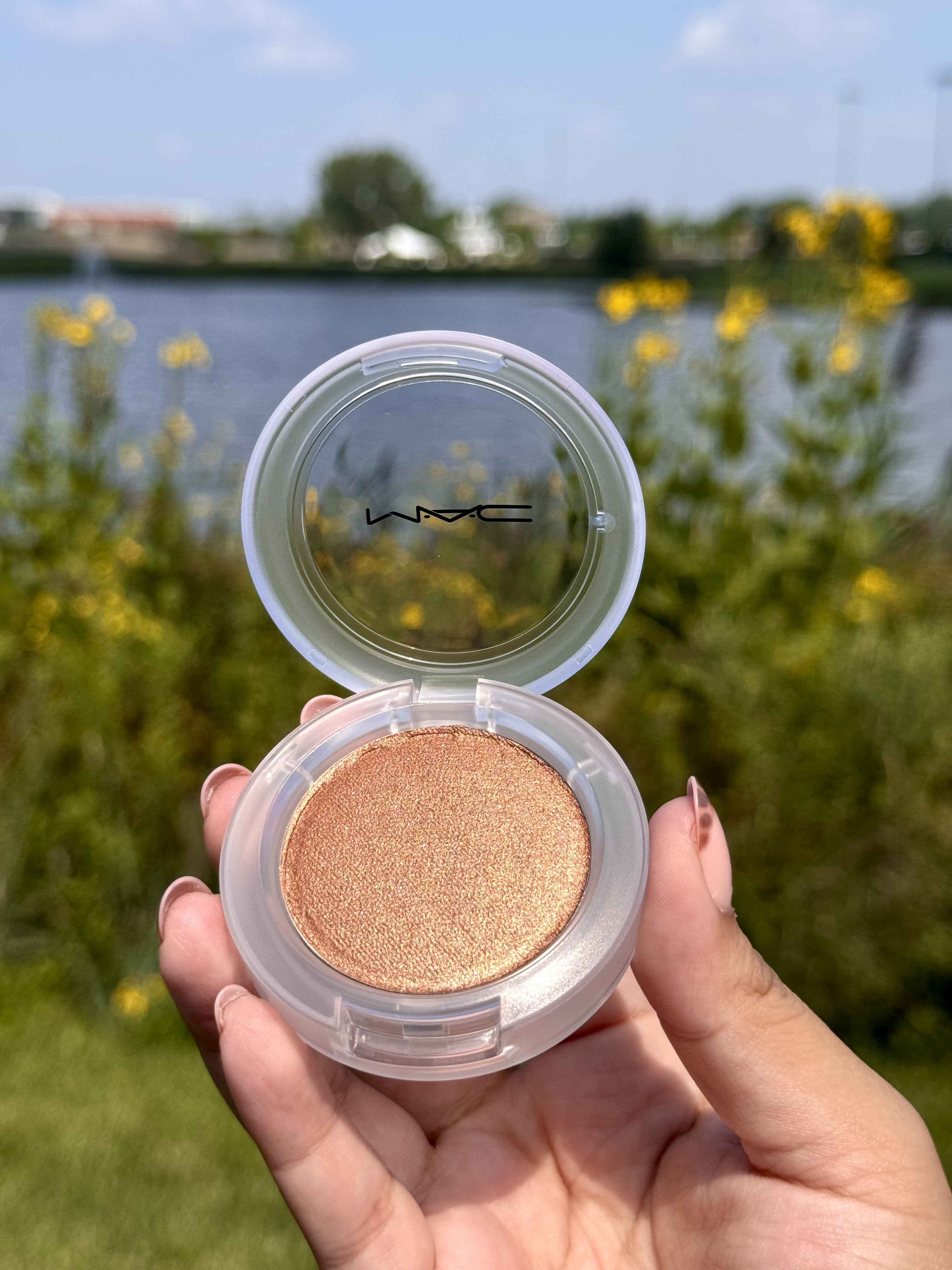 beautiful shimmer