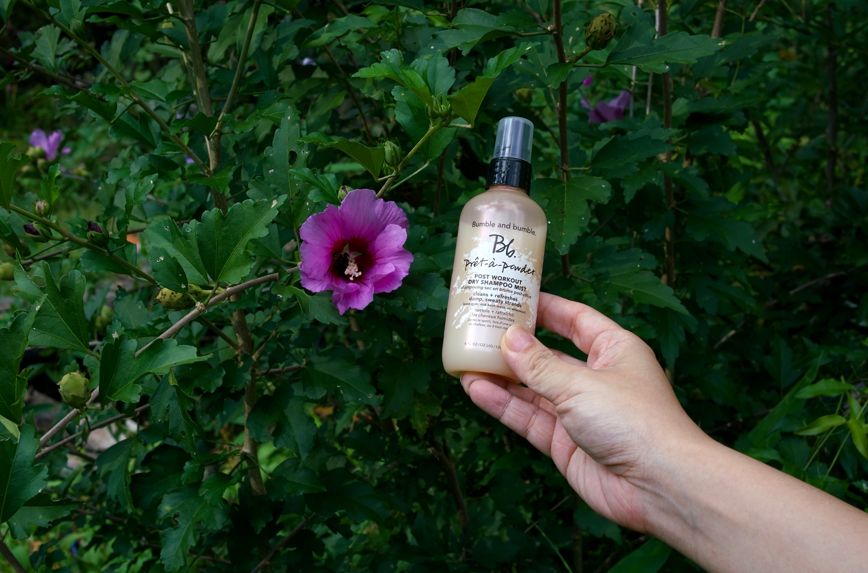 Hair mist