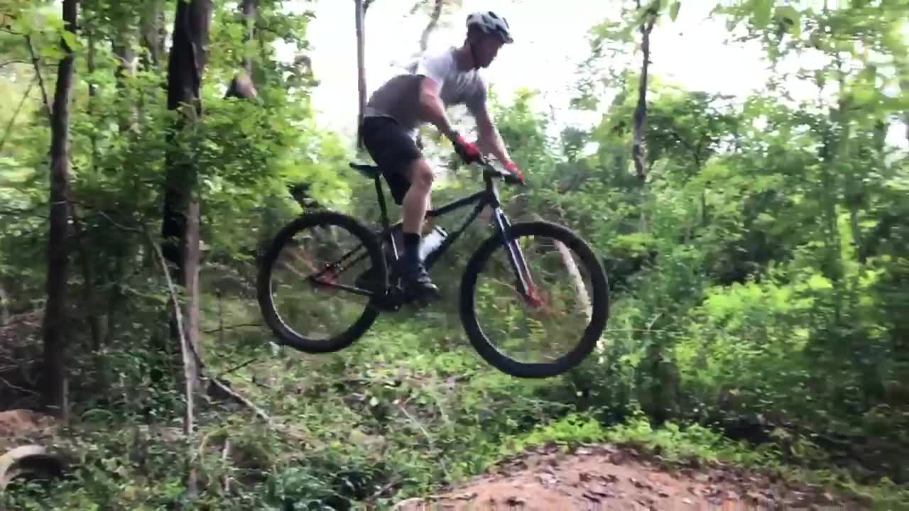 surly dirt jumper