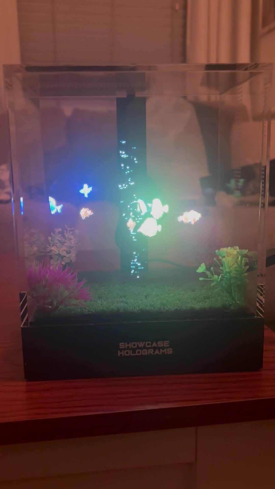 Fishes Swimming