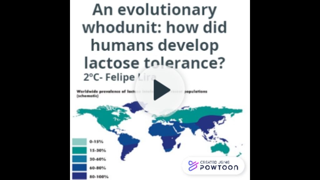 Powtoon How Did Humans Develop Lactose Tolerance 3660