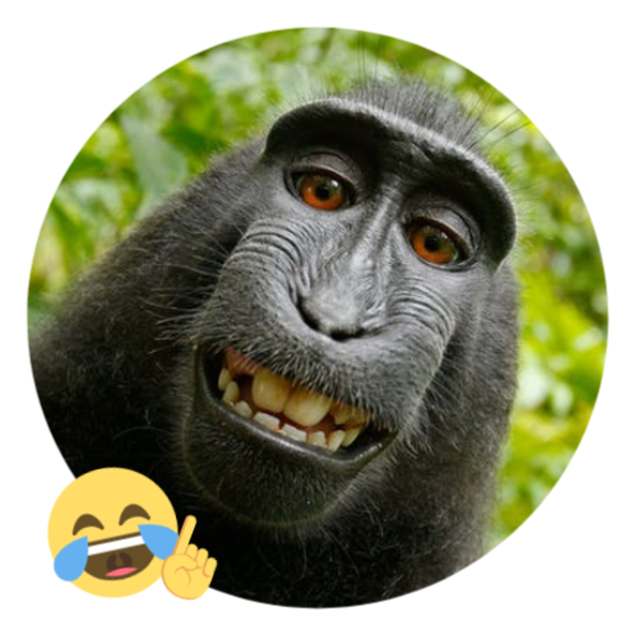 Artstudio – Picture Monkey smiling inside white circle image free template