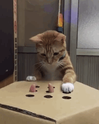 wack-a-mole-cat-gif-v2 Cat Whack a Mole Gif