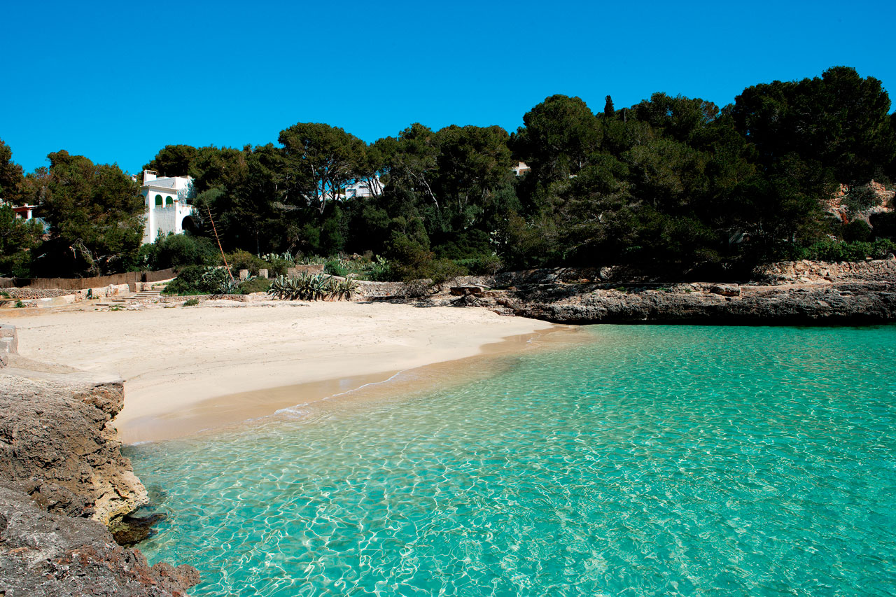 Cala D