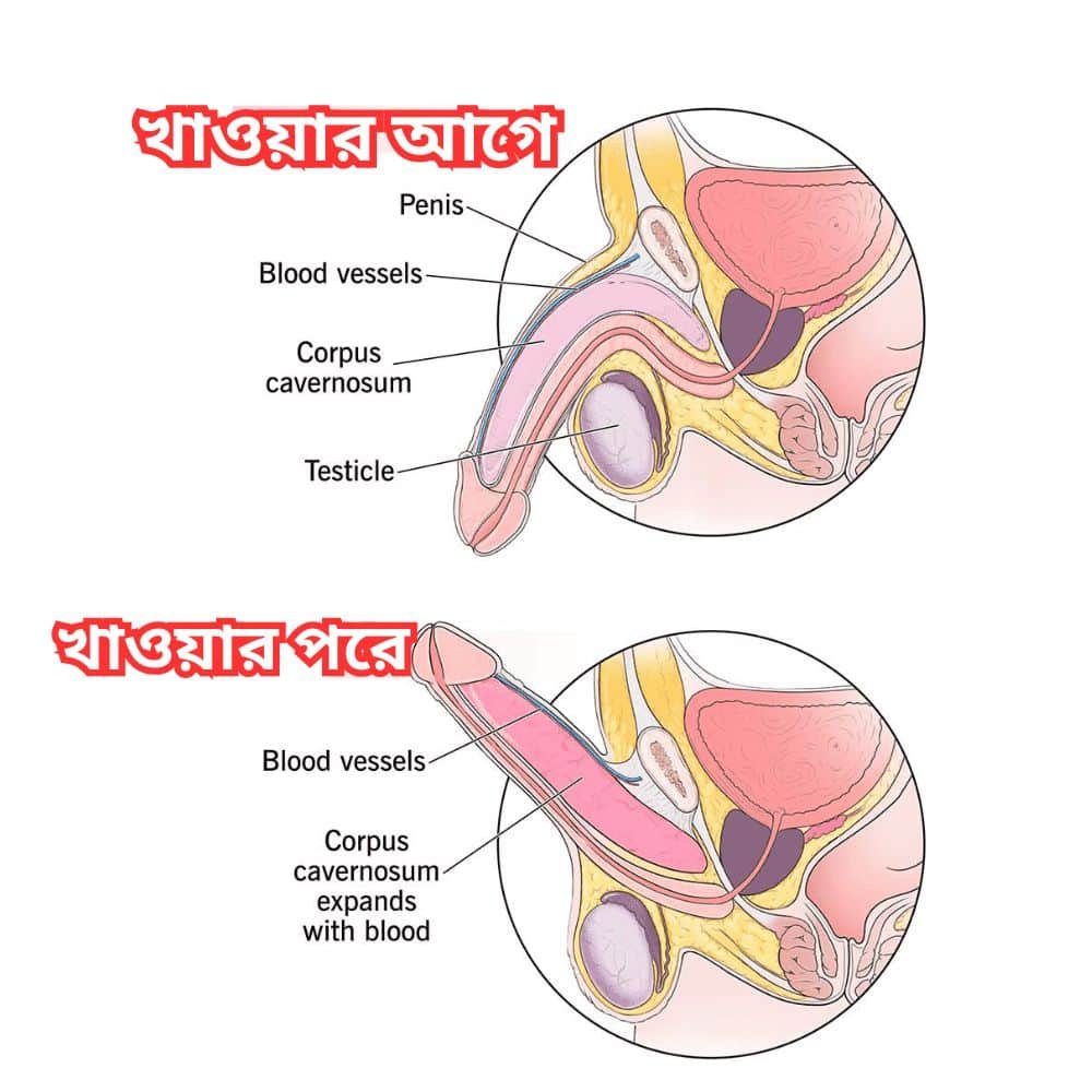 খাওয়ার নিয়ম