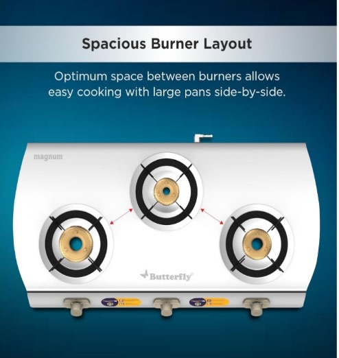 Butterfly Magnum 3B Lpg Stove, photo 4