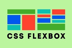 CSS Flex
