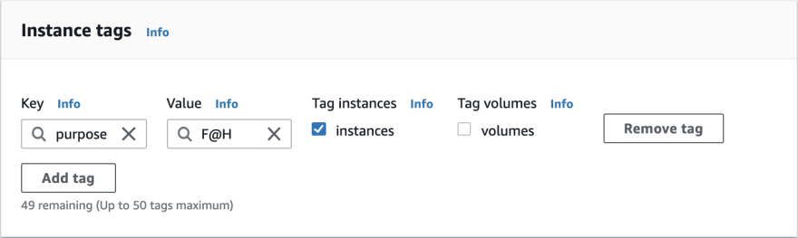 Image of Instance Tags selection box