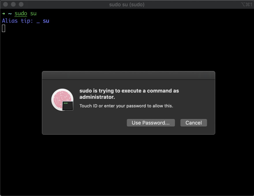 Screenshot 2019-11-02 at 1.13.51 PM.png