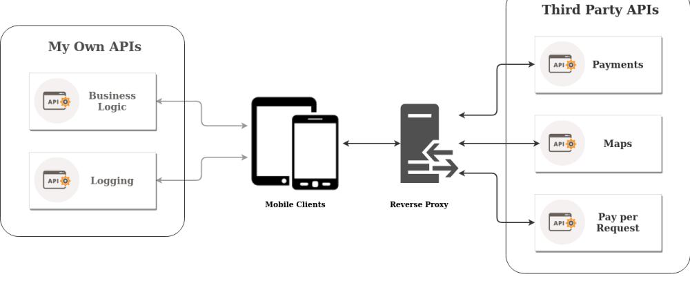 Cover image for Using a Reverse Proxy to Protect Third Party APIs