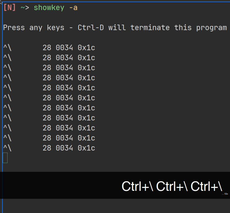 Image of screenkey and showkey when pressing Ctrl+\ 