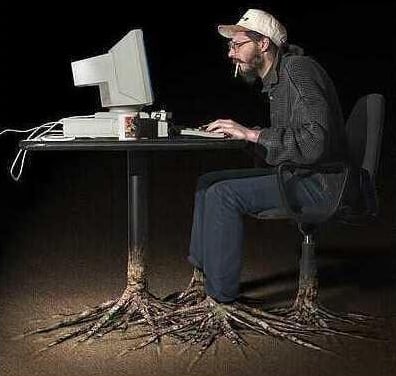 Developer picture