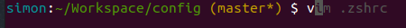 zsh-autosuggestion