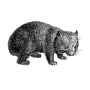 kswid profile