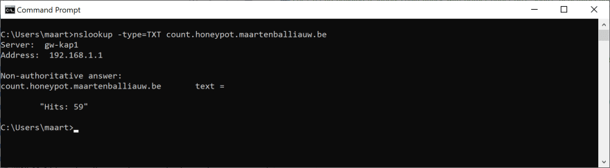 Custom DNS record returning the number of requests