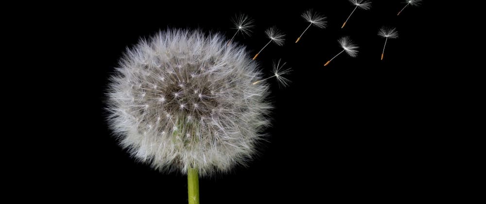 rails multiple seed files dev community