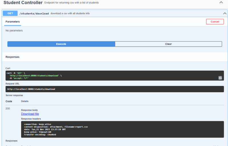 Swagger image with the download endpoint running