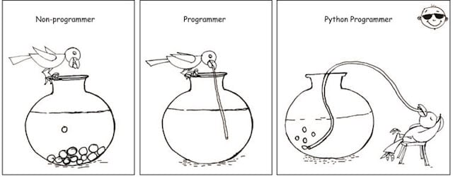 Python programming